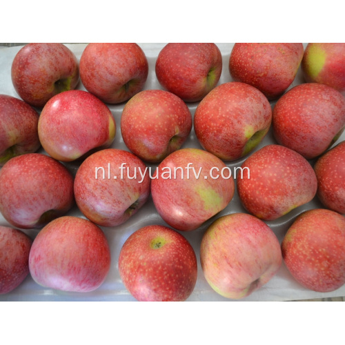 Fresh Delicious Good Quality Qinguan Apple